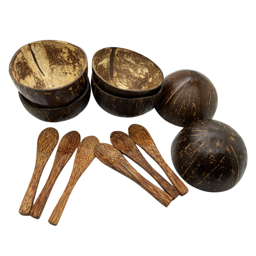 Mini Coconut Bowls and Spoons, Set of 6