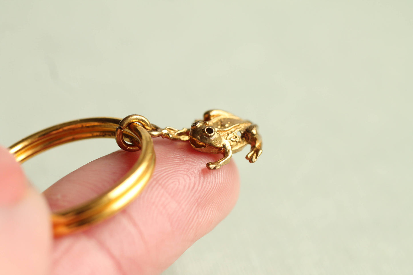 Tiny Frog Keyring