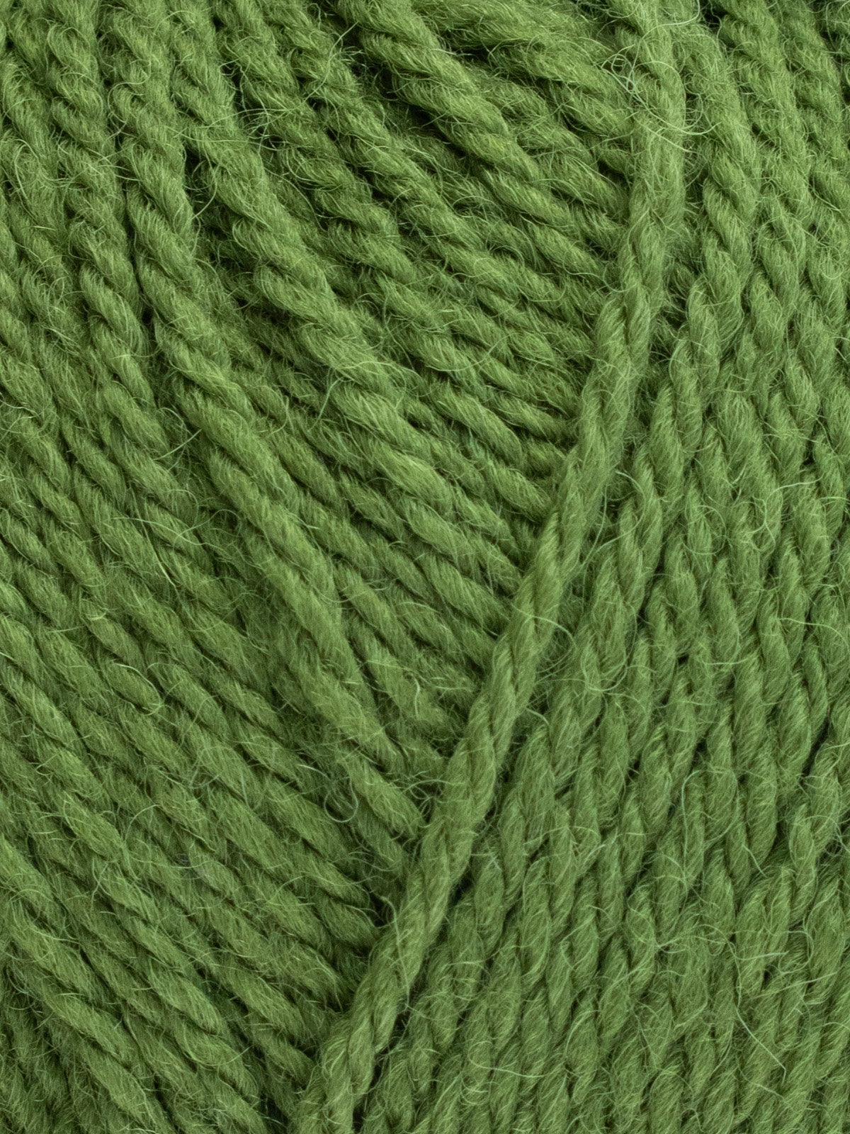 WYS West Yorkshire Spinners Colourlab Aran Moss Green 1177