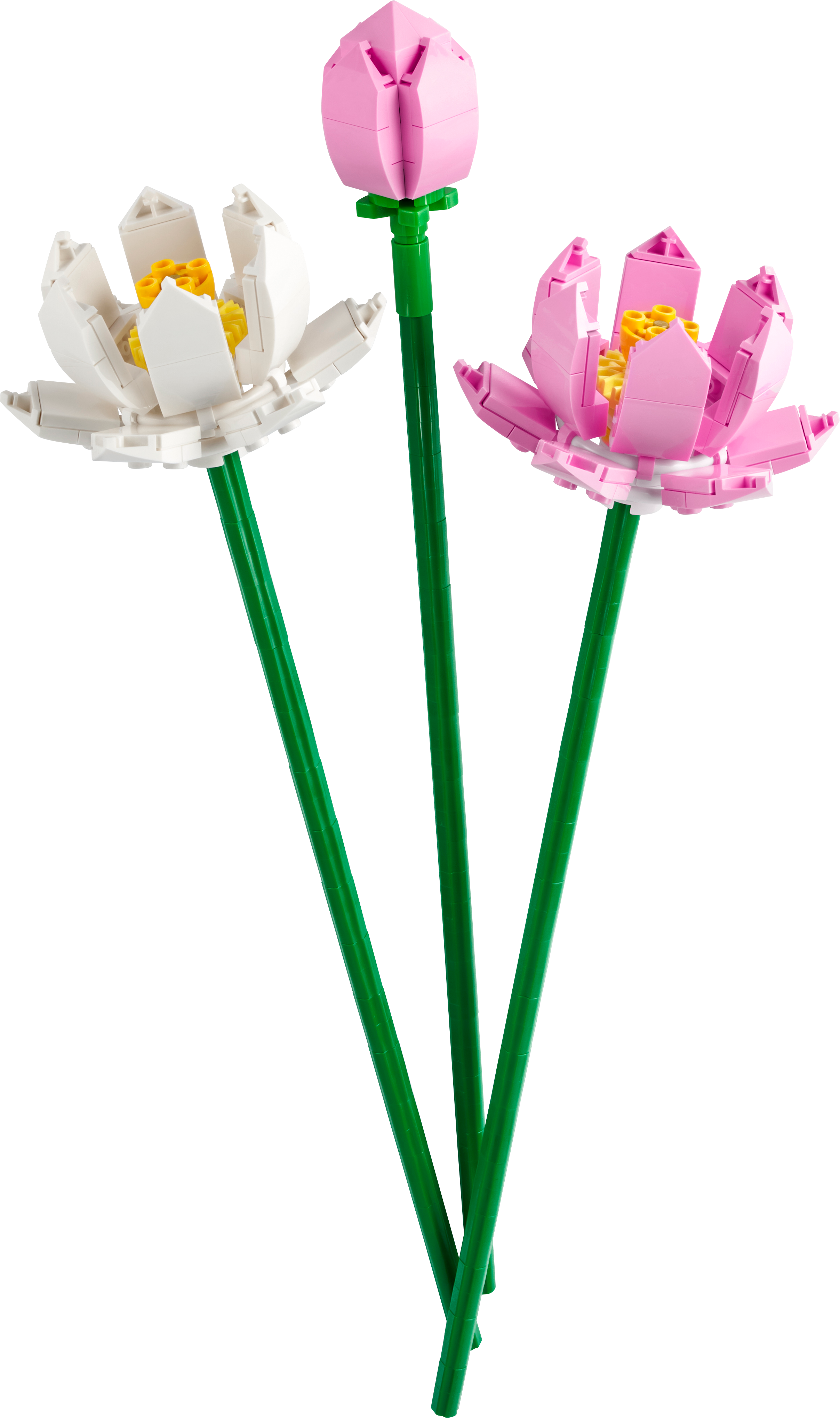 Lego Botanicals 40647 Lotus flowers