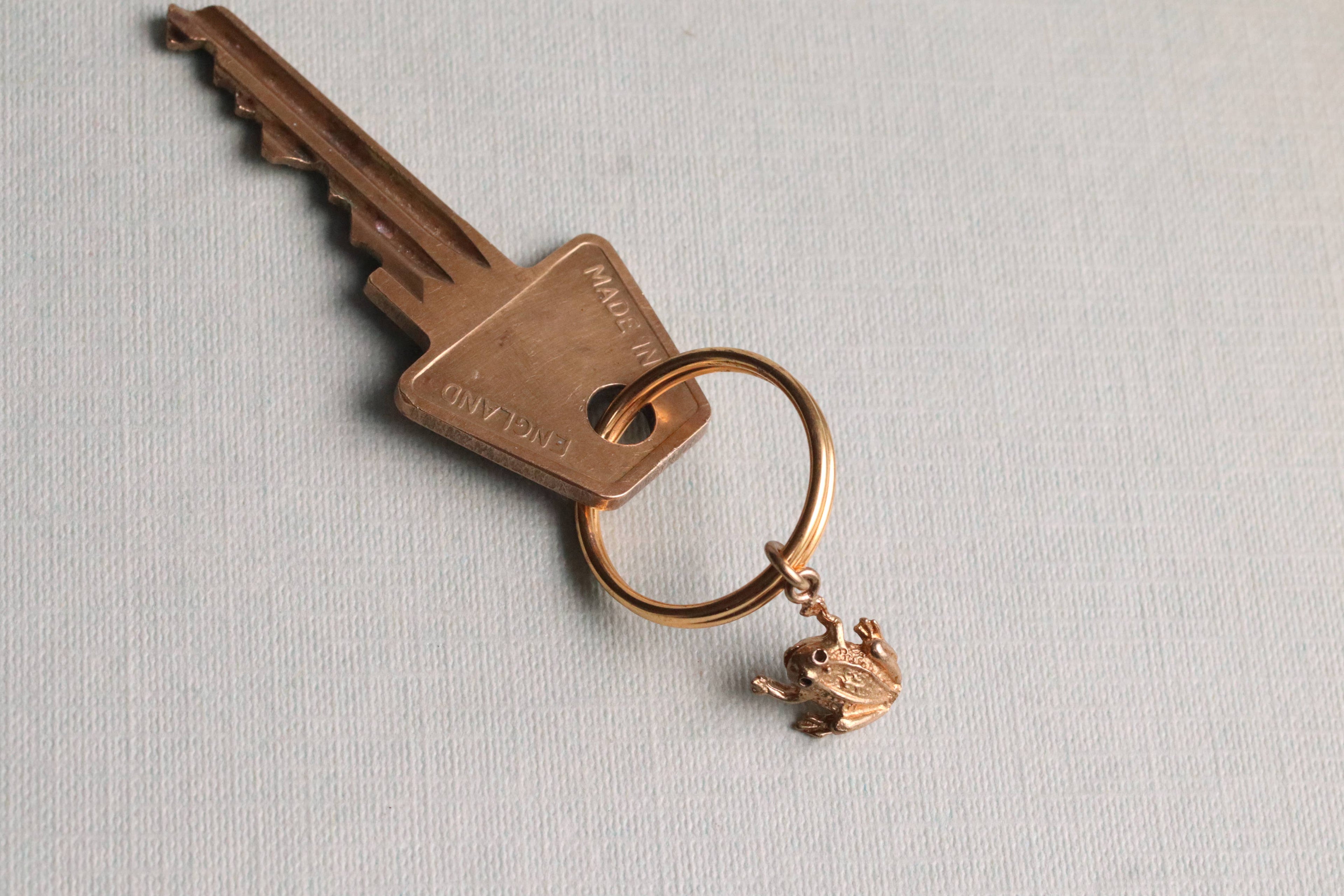 Tiny Frog Keyring