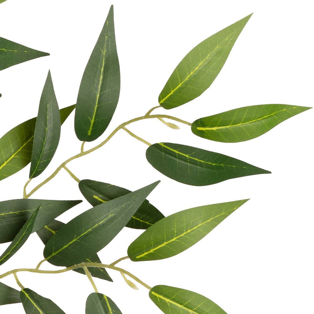 Ruscus Spray
