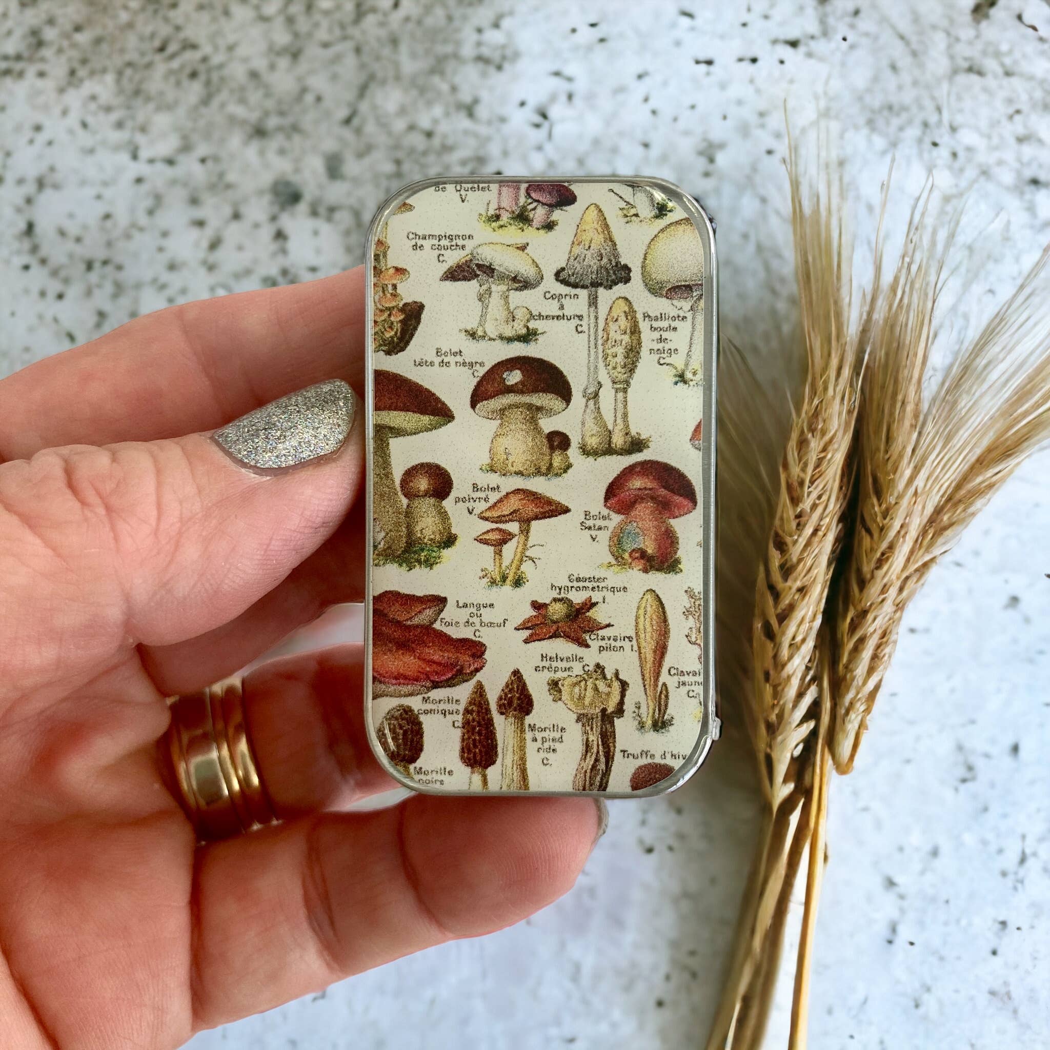 Mushroom Storage Tin: Small