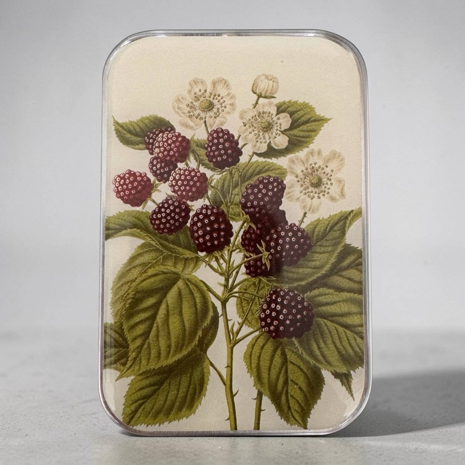 Wild Blackberry Botanical Notions Tin: Small