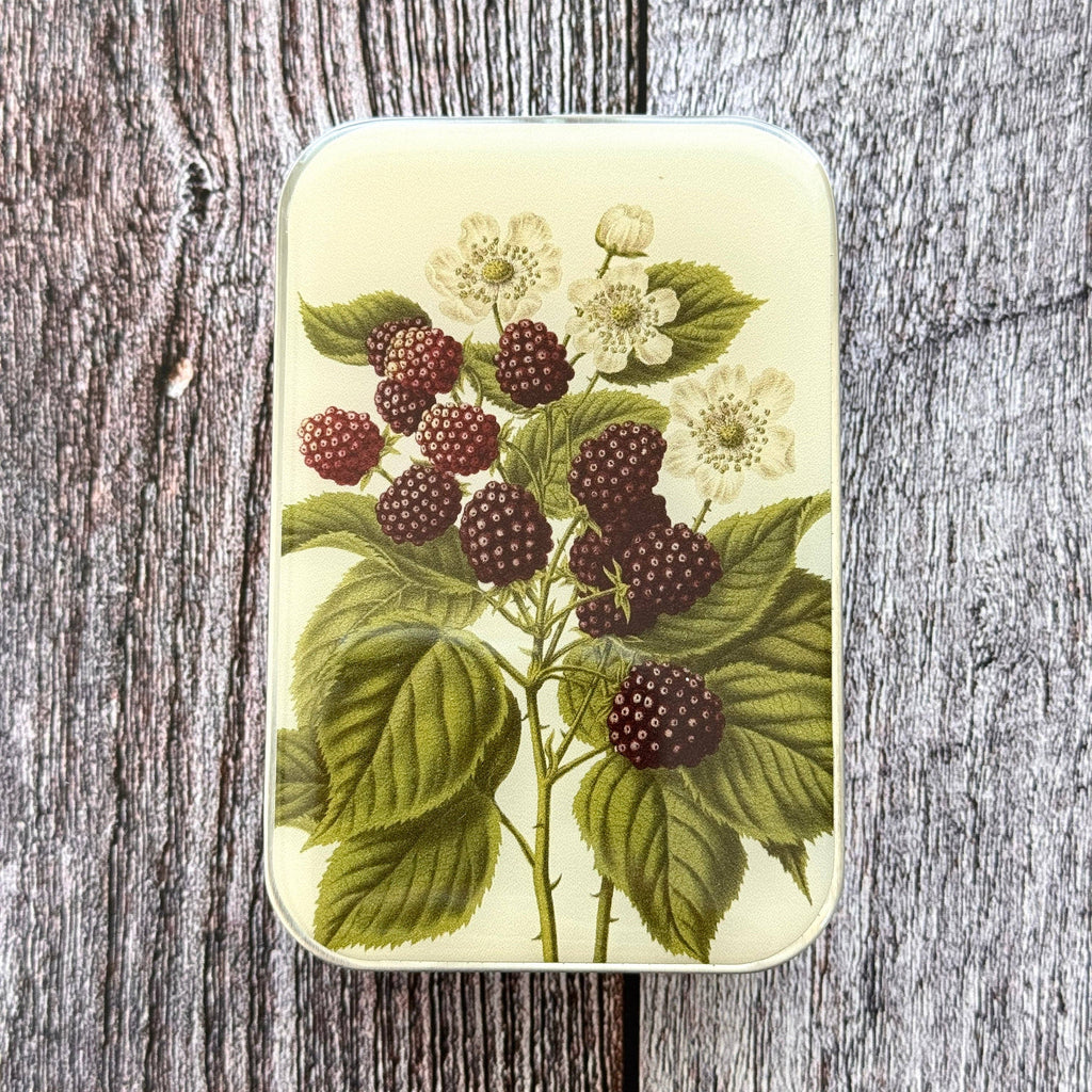 Wild Blackberry Botanical Notions Tin: Small