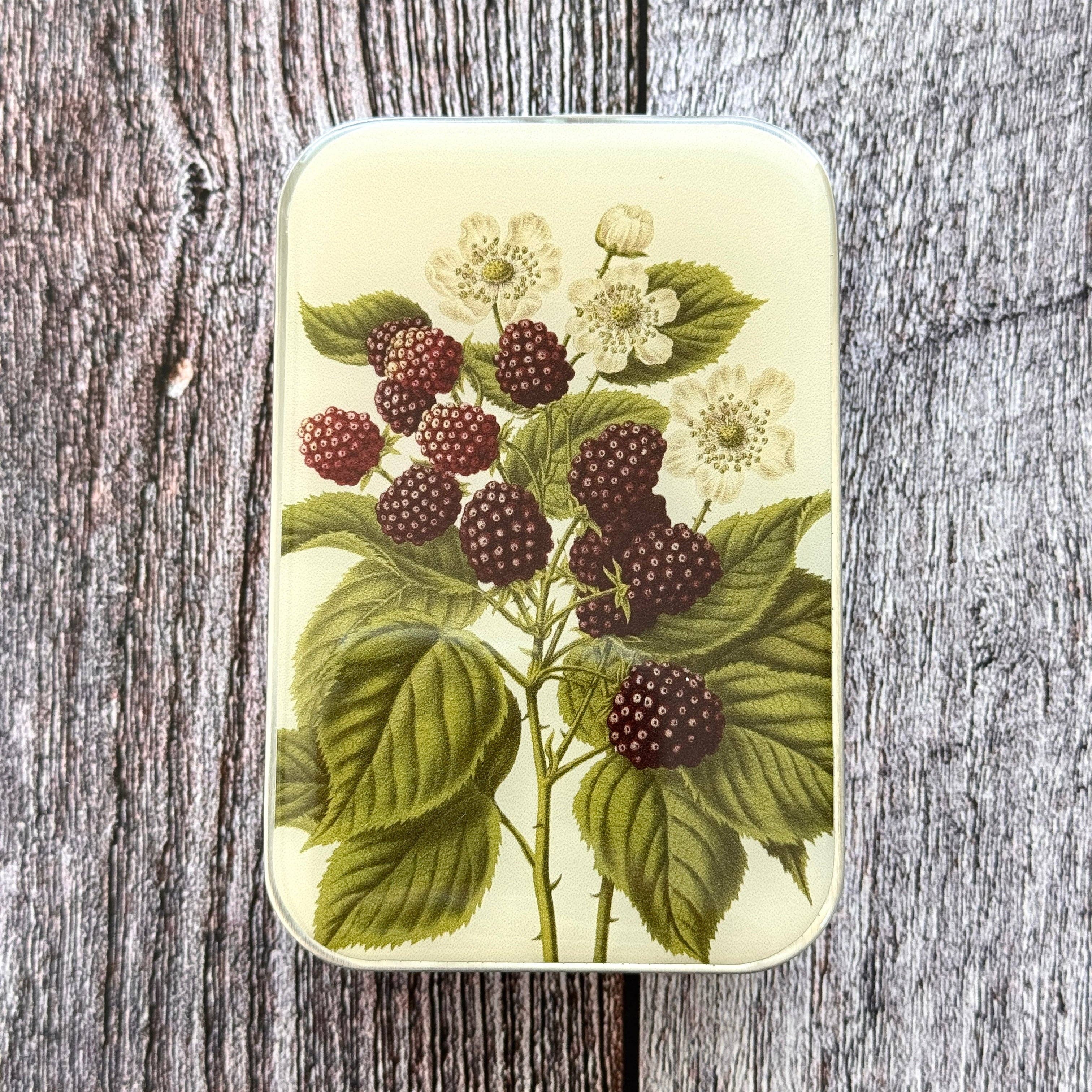 Wild Blackberry Botanical Notions Tin: Small