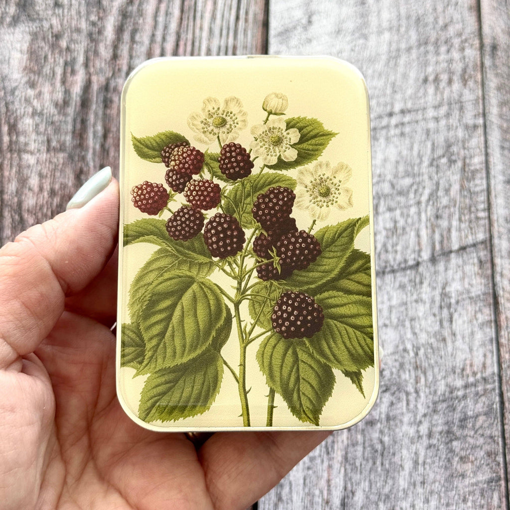 Wild Blackberry Botanical Notions Tin: Small