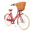 Pashley Britannia