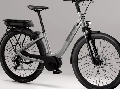 Raleigh Captus - Low Step