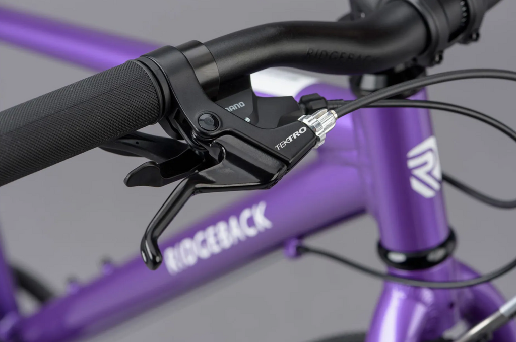 Ridgeback Dimension 26