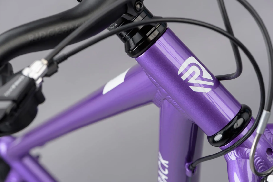 Ridgeback Dimension 26