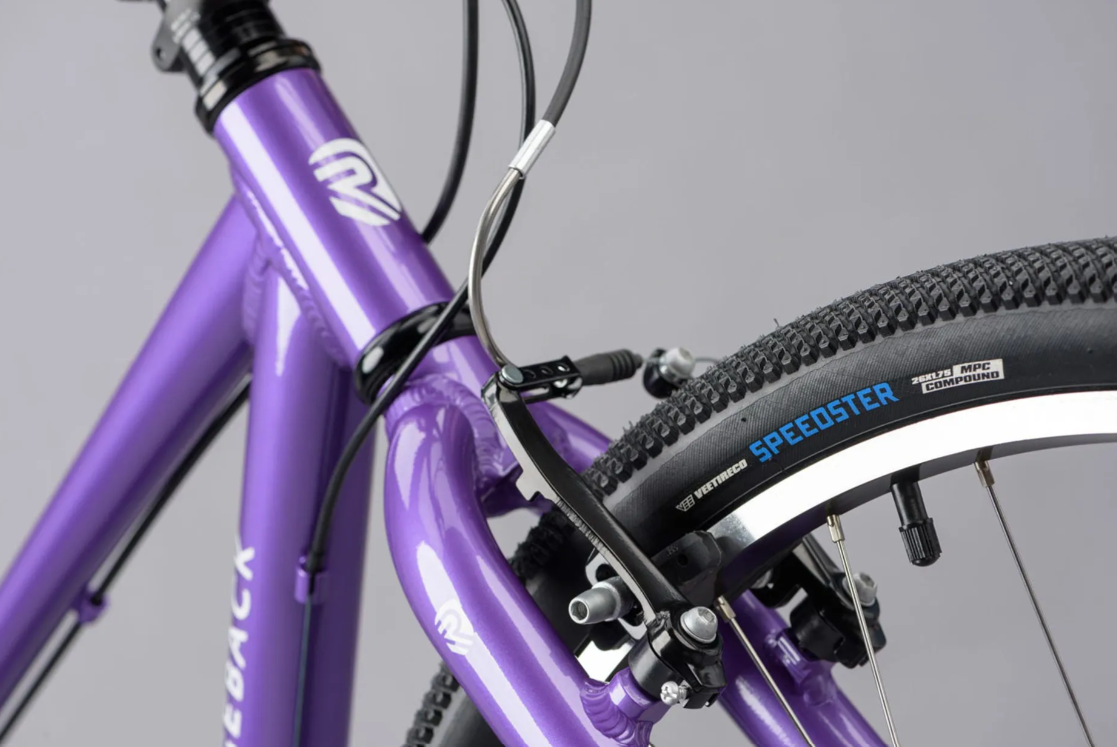 Ridgeback Dimension 26