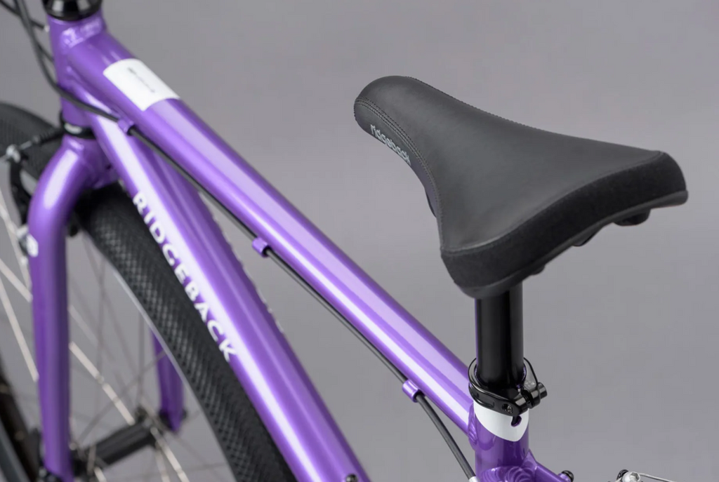 Ridgeback Dimension 26