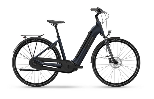 Raleigh MOTUS HUB GEAR