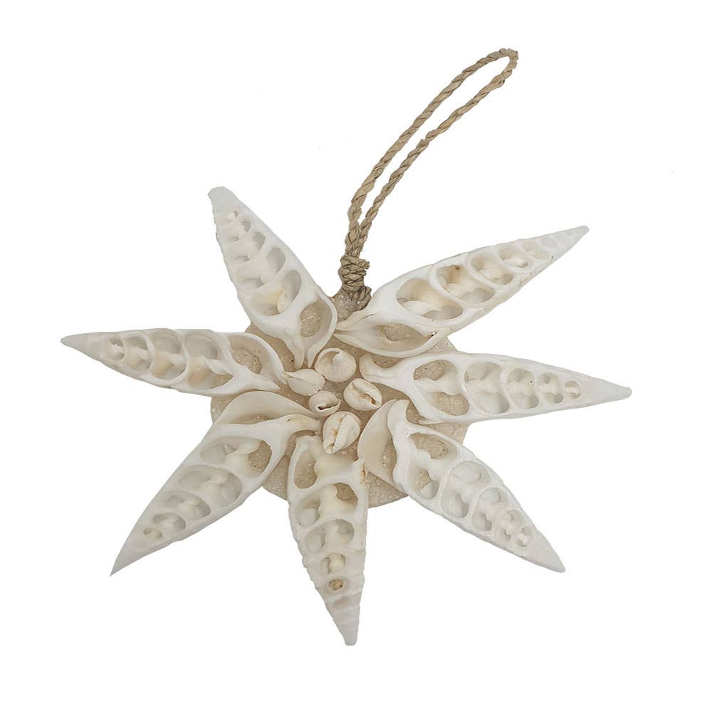 Handmade Seashell Hanging Ornament: #02