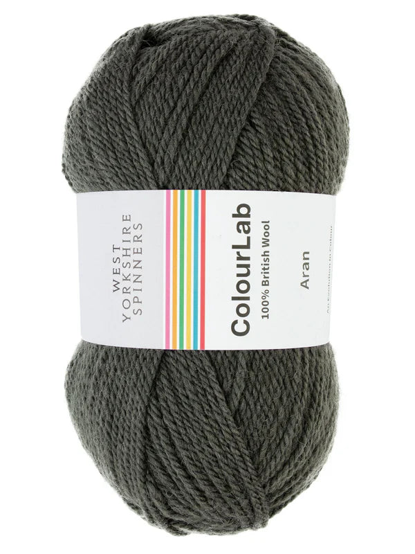 WYS West Yorkshire Spinners Colourlab Aran