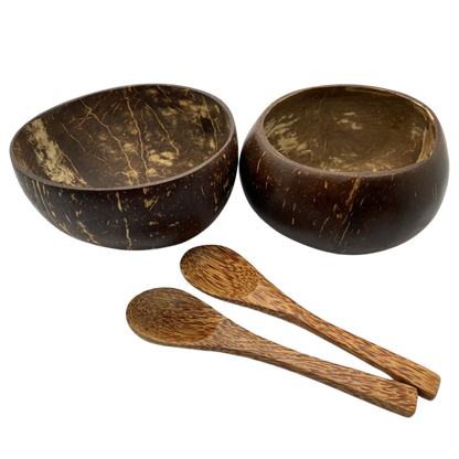 Set of Coconut Bowls and Spoons: Set of 2