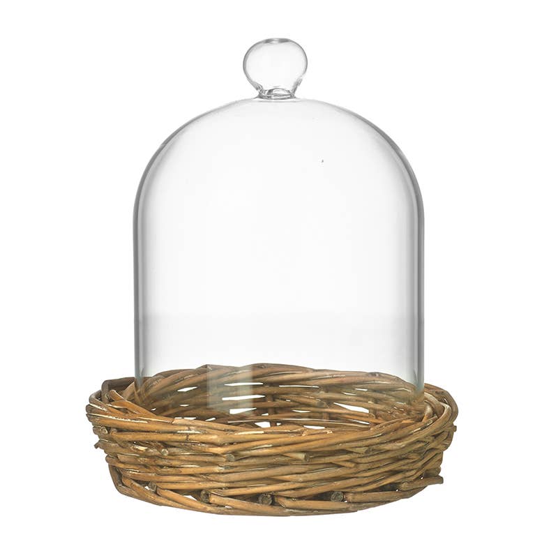 Small Cloche On Wicker Base