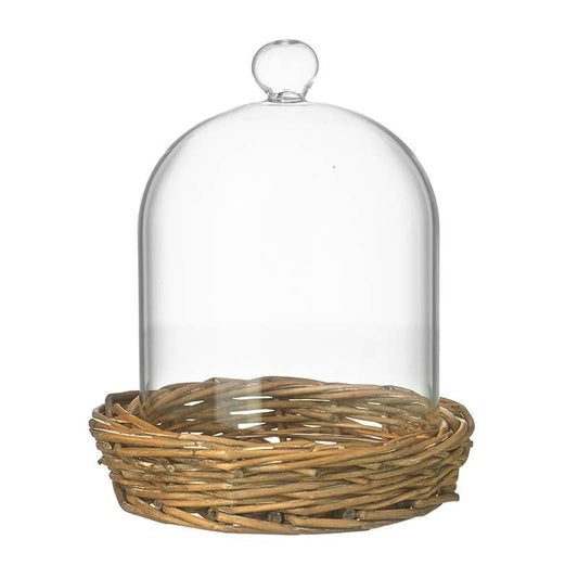 Small Cloche On Wicker Base