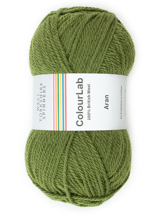 WYS  West Yorkshire Spinners Colourlab Aran Moss Green 1177