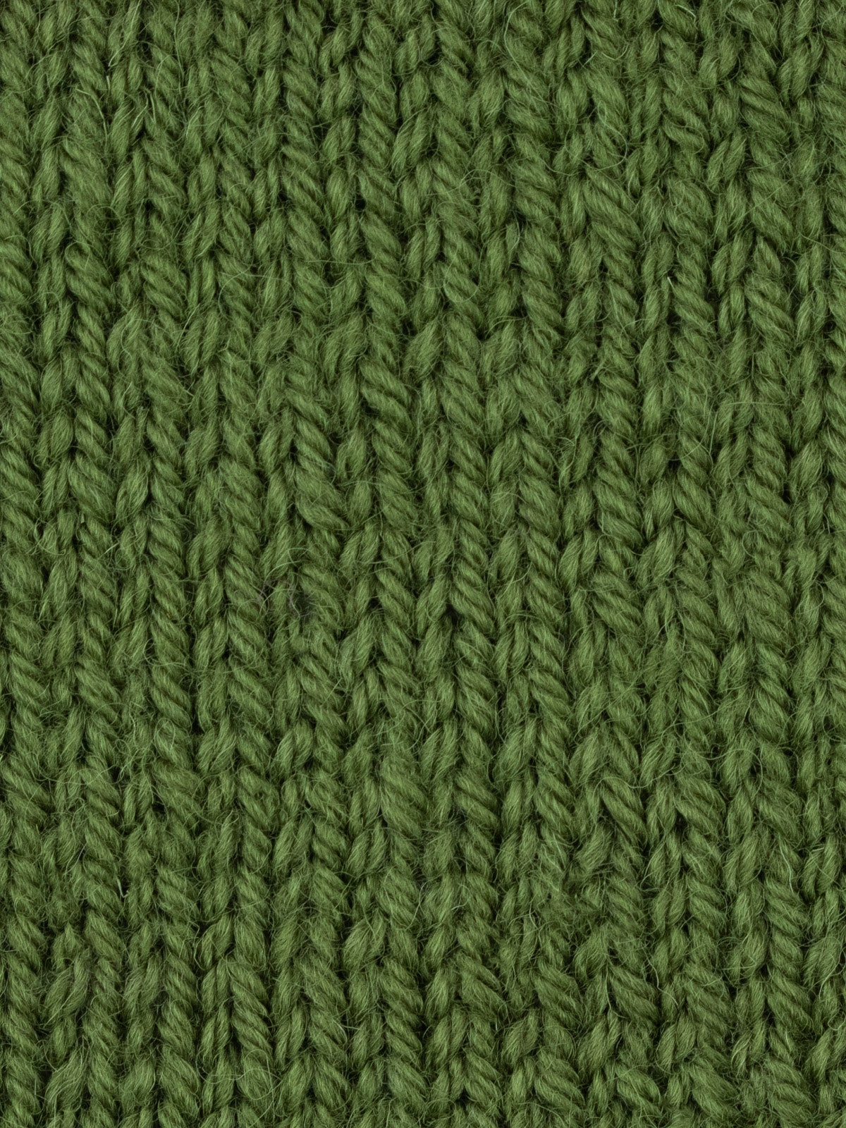 WYS  West Yorkshire Spinners Colourlab Aran Moss Green 1177