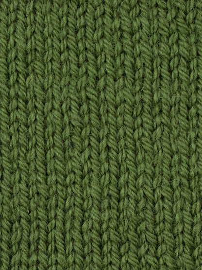 WYS  West Yorkshire Spinners Colourlab Aran Moss Green 1177